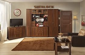 Шкаф 2-дверный Шерлок (Sherlock) 62
